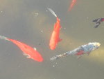 DSCN3896.JPG