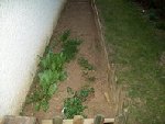 JARDIN 2.jpg