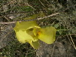 IMGA0285.JPG