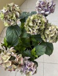 IMG_0483.jpeg