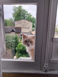 20230711_094022.jpeg