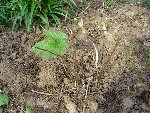 photo9.jpg