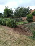 vu  extérieur du potager