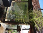 DSC01973.JPG