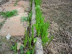 photo21.jpg