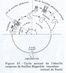 fig 27 du doc.jpg