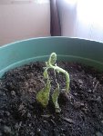 Photo0056.jpg