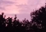 IMG_20230814_064023.jpg