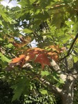 IMG_3413.JPG