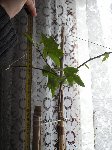 P1010001.JPG