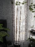 P1010003.JPG