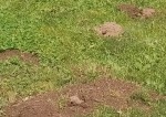 IMG_20230816_144816.jpg
