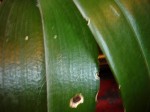 DSC00145.JPG
