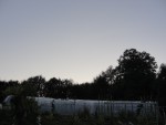 23351B63-74A8-41C0-BEDD-A2C2A1D4A191.jpeg