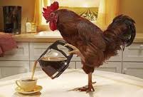 café coq.jpg