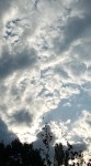 IMG_20230911_084643.jpg