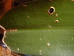 DSC00148.JPG