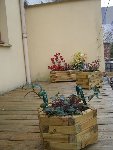 IMGP6372.jpg