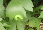 DSC00111.JPG