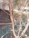 FormatFactory1702225691960.jpg