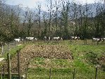Resize of 12 04 09 002.jpg