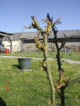 DSC02117.jpg