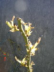 DSC02114.jpg