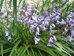 DSCF2069.JPG