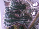 SP_A0206.jpg