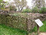 jardin bresse2.JPG