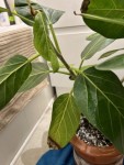 IMG_3062 - Petite.jpeg