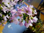 DSC03474.JPG