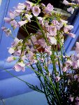 DSC03475.JPG