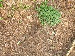 DSC02801.JPG