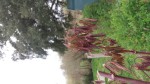 20240320_115156.jpg