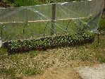 Resize of 14 04 09.jpg
