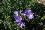 DSC01001.JPG