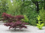 b-IMG_4663.jpg