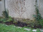 IMGP6469.jpg