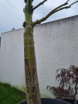 IMG-20240519-WA0034.jpg
