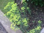 Photo0141.jpg