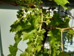 20240526_090846 - Copie.jpg