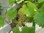20240526_090934 - Copie.jpg