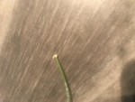 986F71E3-FF1C-47D3-88DF-534EBCBEF802.jpeg