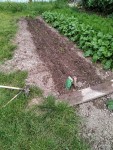 IMG_20240605_132805.jpg