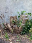 IMG_6121.jpeg