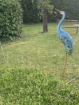 IMG_0750.JPG
