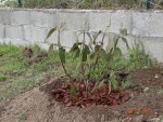 DSC04756.JPG