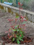 DSC04759.JPG