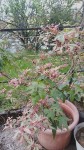 IMG_20240606_201328.jpg
